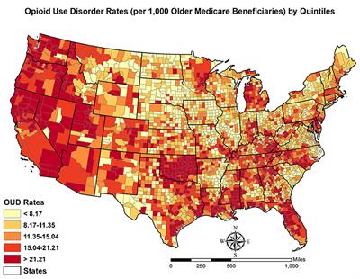 Multiscale dimensions of county-level disparities in opioid use disorder rates among older Medicare beneficiaries